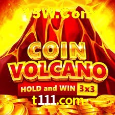 Experiência VIP t111.com